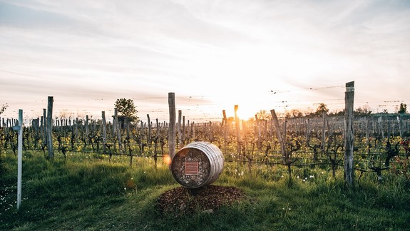 Kúsok za Bratislavou nájdete turistický raj: Spoznajte 5 lokalít v Dolnom Rakúsku