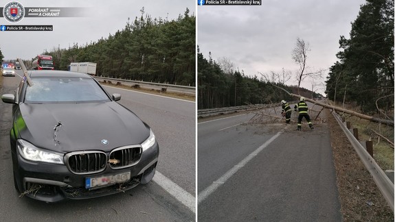 Polícia varuje pred pádom stromov - informuje o takomto prípade z diaľnice D2