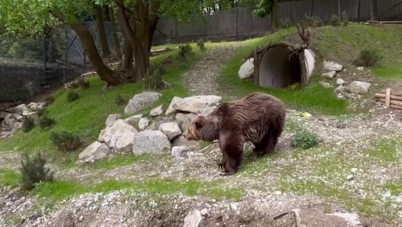 ZOO Bratislava je pre hrozbu slintačky a krívačky zatvorená až do odvolania