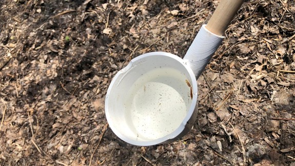 Pretrvávajúce výdatné dažde: Mesto avizuje ďalšie potrebné zásahy larvicídom BTI