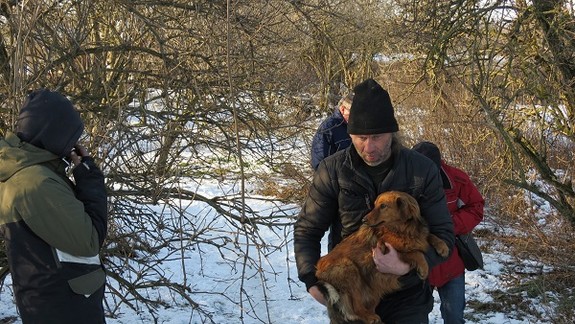 V Petržalke odchytávali túlavých psíkov