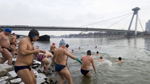 Ľadové medvede sa opäť chystajú plávať v Dunaji