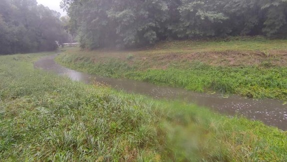 Malackám pomáhajú absorbovať zrážky aj okolité rybníky