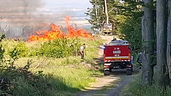 V lesoch nad Modrou vypukol požiar