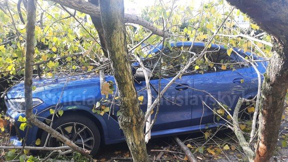 V Lamači spadol na autá strom. Ulica je blokovaná