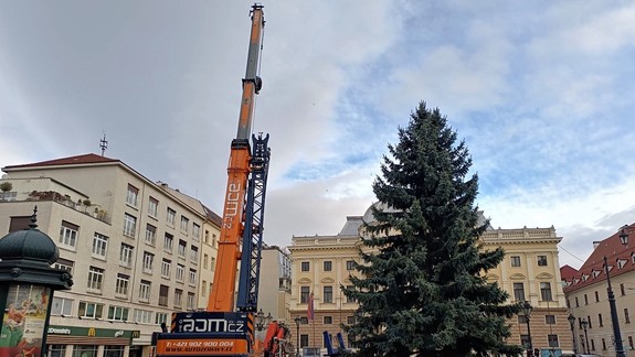 FOTO: Pred historickou budovou SND už stojí staromestský vianočný stromček - je to 35-ročný smrek...