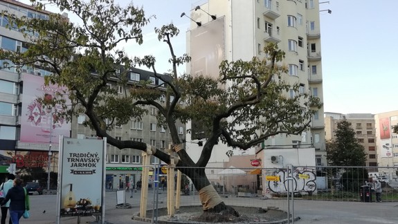 FOTO: Viete, čo sa aktuálne deje na Kamennom námestí?