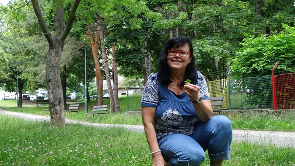 KURIOZITA: Skúste uhádnuť, koľko štvorlístkov už našla a má doma pani Danka z Karlovej Vsi...