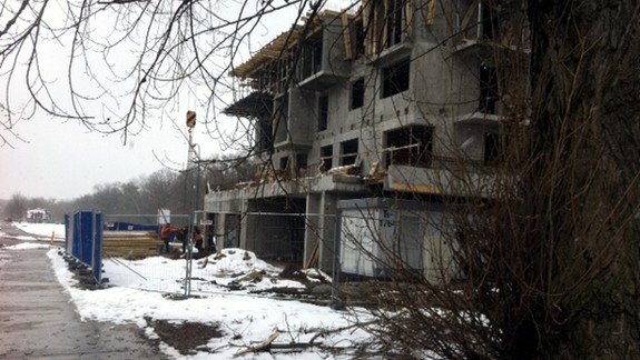 Revitalizácia zelene sa začala výrubom?