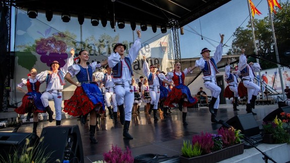 Čas vinobraní prichádza, oslavou vinohradníctva v septembri ožije aj Rača