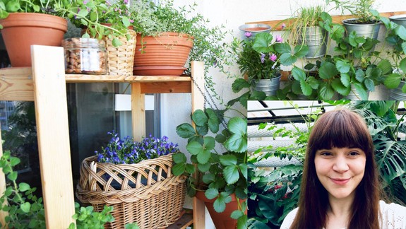 ROZHOVOR Urobte si záhradu na balkóne: Petržalčanka Michala na ňom pestuje aj figy