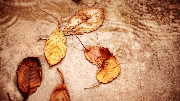 Tipy, vďaka ktorým bude pre vás jeseň najkrajším ročným obdobím