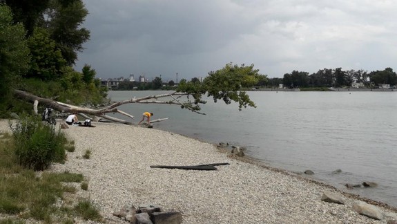 Dunajský park bude mať 20 kilometrov. Stane sa vízia realitou?