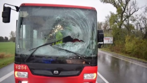 VIDEO: Do kabíny vodiča autobusu MHD vletela srna, jedna cestujúca utrpela zranenia