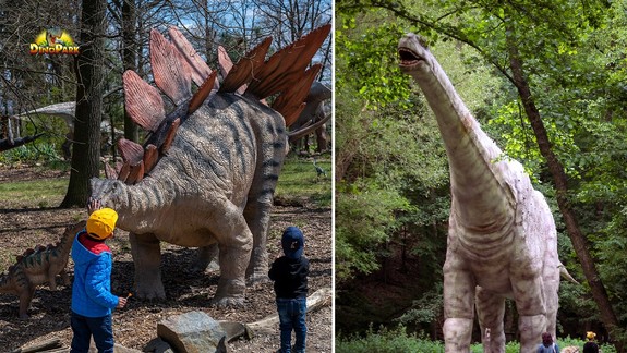 Prevádzkovateľ dinoparku tvrdí, že z bratislavskej zoo peniaze neodčerpával a brániť sa bude aj na súde!