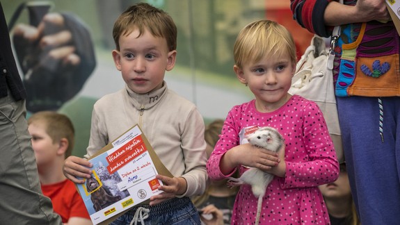 Prídete? Blíži sa Festival zvierat, možno práve vy máte najmilšie zvieratko Bratislavy