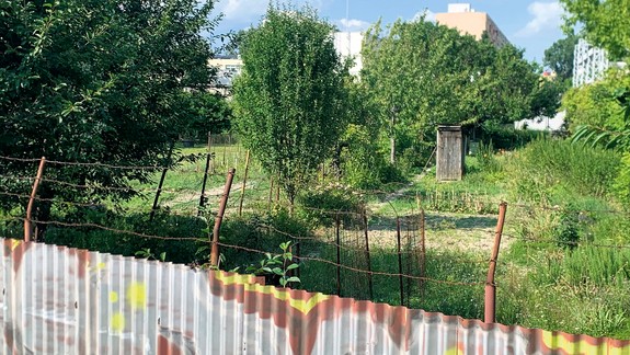 V Petržalke existuje utajená oáza záhradkárov. Po novom však končí