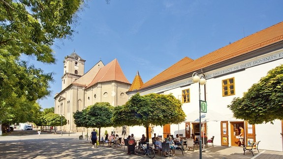 Voľby2022: O kreslo primátora Pezinka zabojuje osem kandidátov, z toho tri ženy