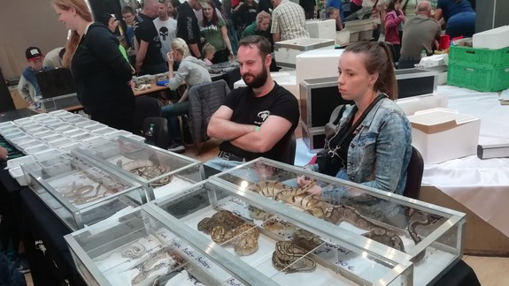 FOTO: Navštívili sme veľkú predajnú výstavu teráriových zvierat v Ružinove
