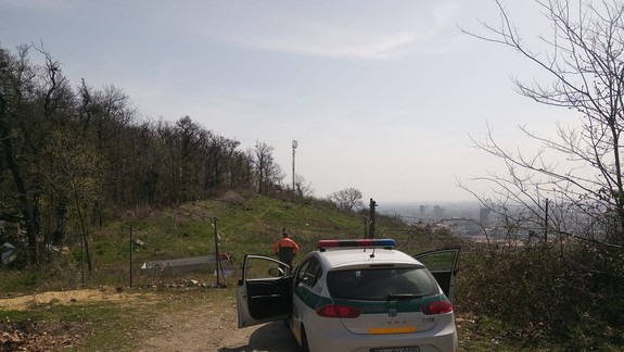 Na Kolibe niekto rúbal mladé stromčeky - mestský poslanec na miesto privolal policajtov