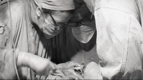 Stovky zachránených životov: NÚSCH má za sebou 482 transplantácií srdca