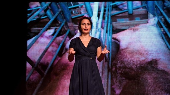 Programová riaditeľka Greenpeace večeria namiesto kapra tofu, darčeky balí do novín