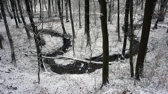 FOTO: Bratislavčania sa búria proti masívnej ťažbe dreva v rekreačných lesoch!