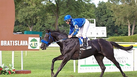 Slovenské derby pre nemeckého hnedáka Maximool