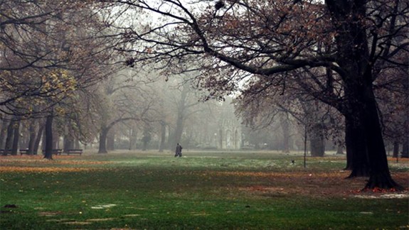 Príkladná starostlivosť o Sad J. Kráľa