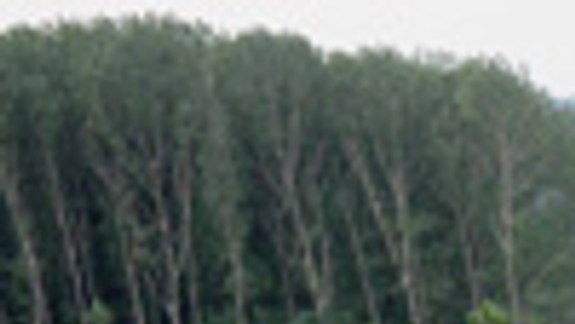 Zeleň v meste je až na poslednom mieste