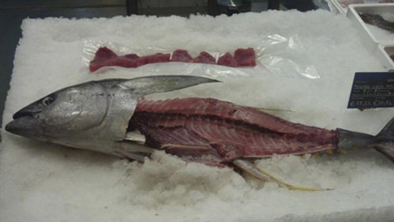 Metro Devínska Nová Ves pozýva na The Big Fish Day