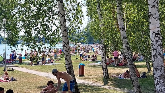 Odborníci radia: Varujte deti pred skokmi do neznámej vody, môžu mať za následok ochrnutie