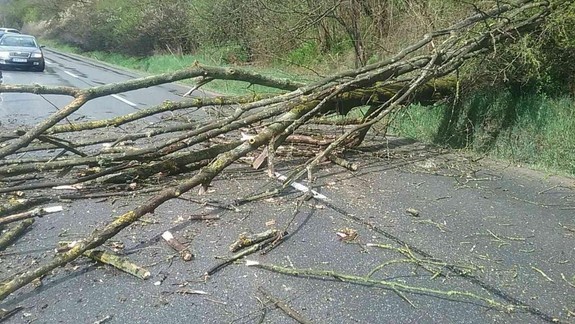Výčiny počasia: Vietor láme stromy a trhá strechy