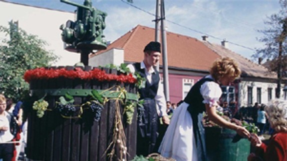 V Rači bude cez víkend tradičné vinobranie
