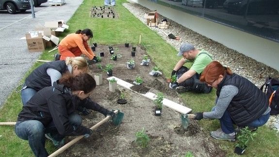 Na Tomášikovej vysadili nové lúky pre včely