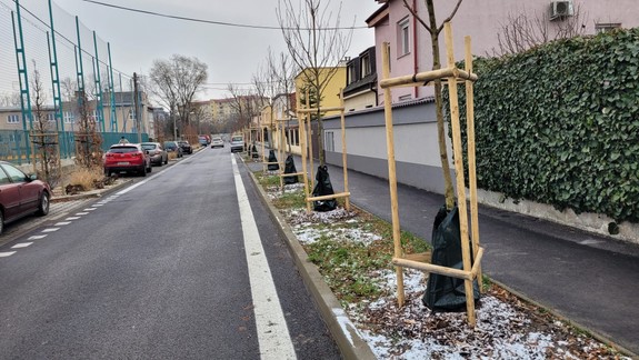 Táto ulica na Trnávke sa premení na krásnu ružovú alej