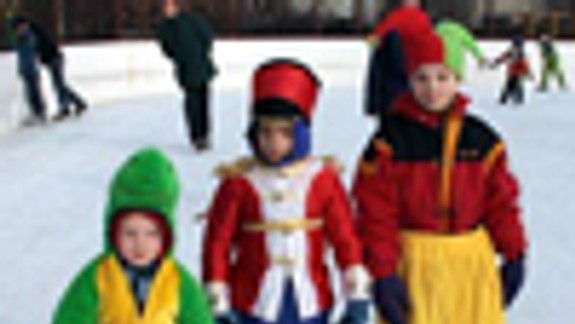 Vo Vajnoroch bude v nedeľu Ľadový karneval