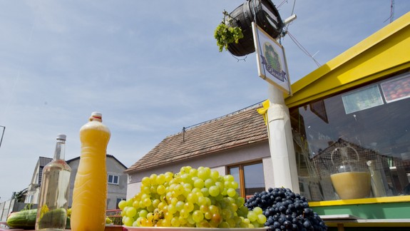 Dobrá správa z ministerstva pôdohospodárstva - burčiak bude tento rok skôr!