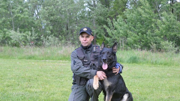 Aj naši policajti majú svojho "Rexa". Takto si Harry poradil s unikajúcim mužom