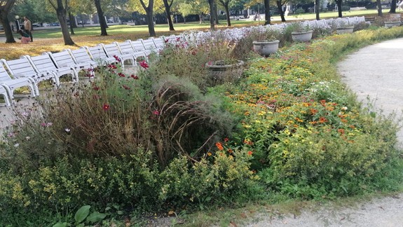 Obnova Medickej záhrady je v plnom prúde. Jeden vchod bude od pondelka zatvorený