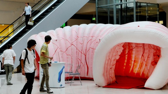 RADÍME Rakovina hrubého čreva: Na ktoré jedlá si dať pozor