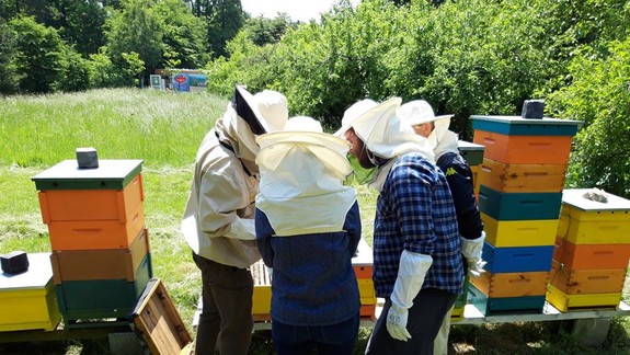Letný tábor v mestských lesoch uprednostní deti zamestnancov magistrátu
