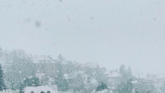 FOTO a VIDEO: Primátor Matúš Vallo sa ráno pri pohľade z okna svojho domu nepotešil...