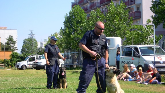 Kynológovia mestskej polície pomohli 60-ročnému Bulharovi