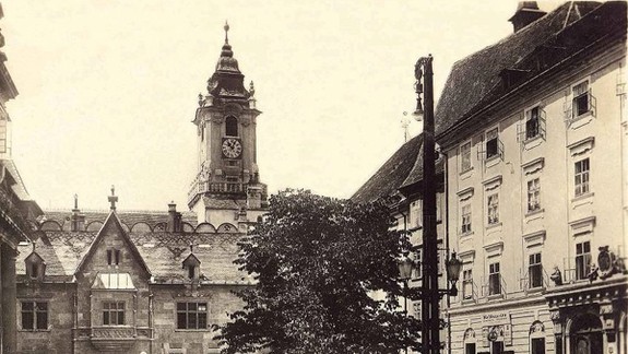 Lipu nechal vyťať primátor v 70. rokoch