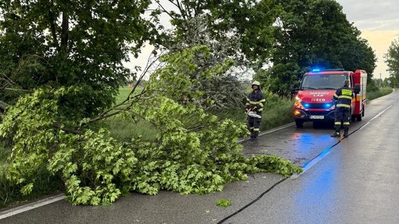 Popadané stromy a iné nehody: Hasiči v Bratislavskom kraji zasahovali od nedele do pondelka rána 38-krát