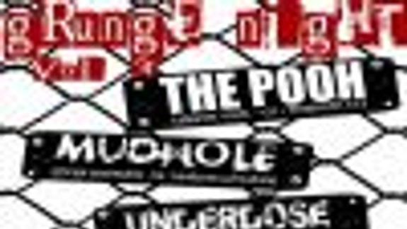 Slovenské a české kapely v klube Randal