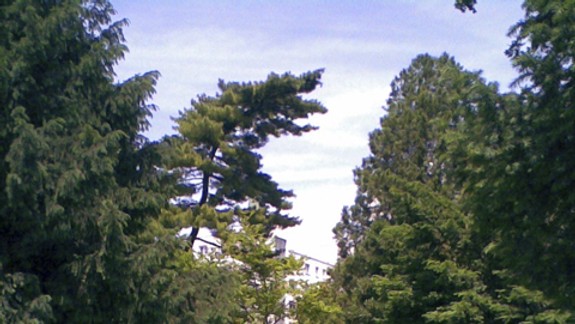 Parčík pred Avionom bol malou botanickou záhradou v centre