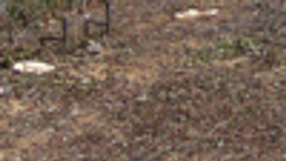 Z Pálffyho záhrady už neostalo skoro nič