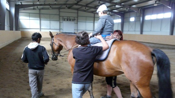 Kôň vám dokáže pomôcť psychicky i fyzicky. Viete prečo?